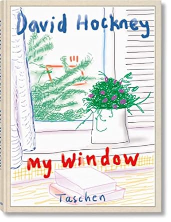 My Window. Ediz. Limitata