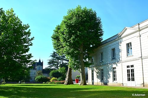 Ackerman Cremant Royal Brut AOP Crémant de Loire (1 x 0.75 l)(Die Verpackung und Jahrgang kann variieren)