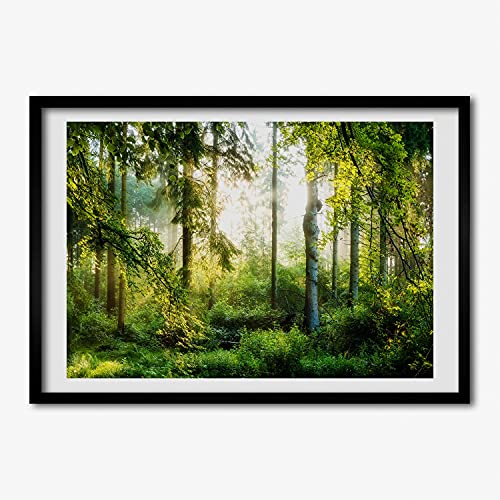 Cadre photo 70x50 cm Tulup pour habiller un mur vide avec un tableau de forêt moderne