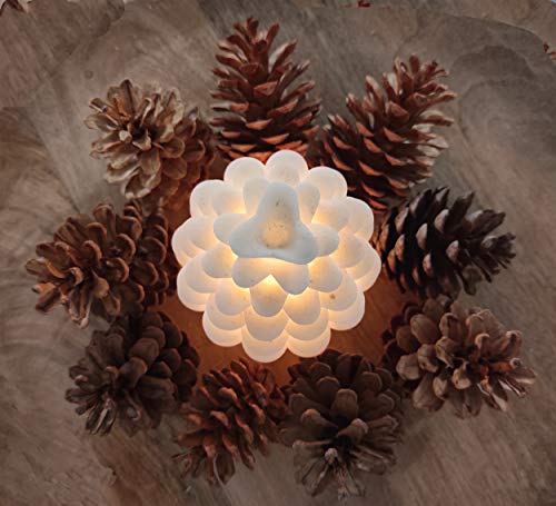 TIN DREAMS FACTORY, Pigne Decorative, Pigne per