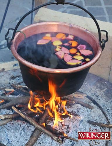 Wikinger Met Roter Met 6 x 0,75 L – Honigwein 6 % vol. aus dem Wikingerland – Fruchtig-aromatischer Honigmet mit Kirschsaft – Ideal pur, als Aperitif oder Heißgetränk