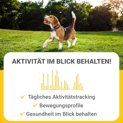 LocoGPS 4G Tracker für Hunde | Weltweite Ortung | Faire Abopreise | 30 Tage risikofrei testen