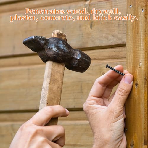 Miniatura 6 de Bacshby 100 Piezas Clavos Redondos Planos Para Madera 20mm, Clavos Zincados Galvanizados De Acero Para Paredes De Hormigón, Uso Universal En Interiores Y Exteriores