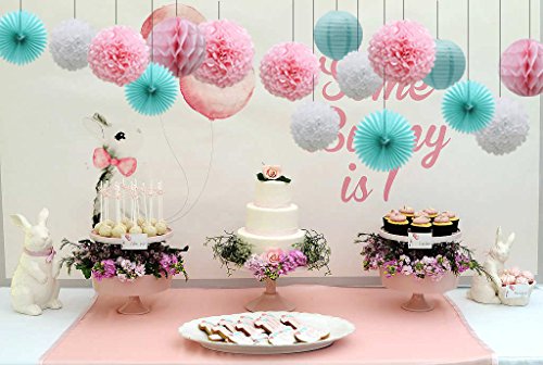 Teal Party Supplies For Bridal Baby Shower First Birthday Party Wedding Decorations (16Pcs) Paper Honeycomb Ball Pom Poms Flowers Paper Lanterns Hanging Tissue Fan #TOP5
