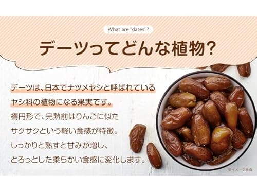 NICHIGA(ニチガ) 完熟 ドライ デーツ 種なし 1.2kg サイヤーデーツ TK0 の商品画像 3