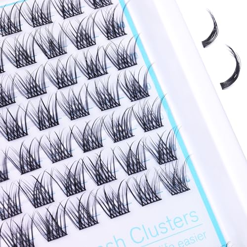 Short Lash Clusters Wispy C Curl Eyelash Clusters 10-12MM Individual Eyelashes Natural Cluster Eyelash Extensions Natural Looking Cluster Lashes by Geeneiya（154PCS, C Curl, 10-12mm)