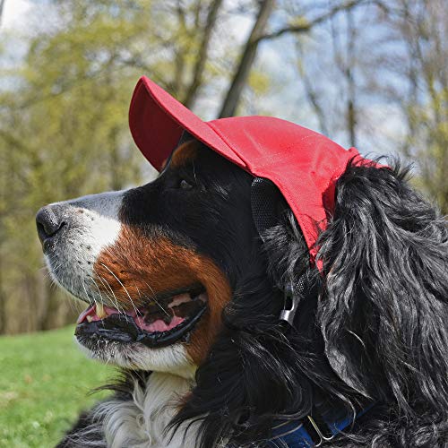 Gorra Littlearth NCAA Wisconsin Badgers Pet Small miniatura 3