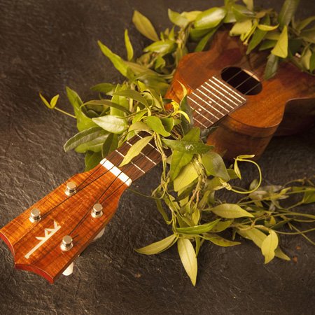 Tapa interruptor ukelele Hawaii de resina para paredes 3
