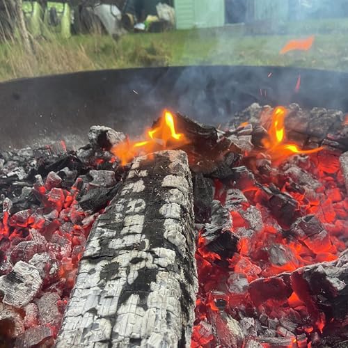 The P pod - on location at the community garden wassail
