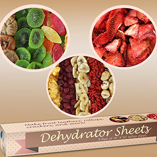 Chuzy Chef Set Of 9 Dehydrator Sheets - Baking Mat Teflon Dehydrator Sheet - 14'' X 14'' Food Dehydrator Tray Liners Non Stick Sheets Baking Mat Food Dryer Sheet For Excalibur #TOP2