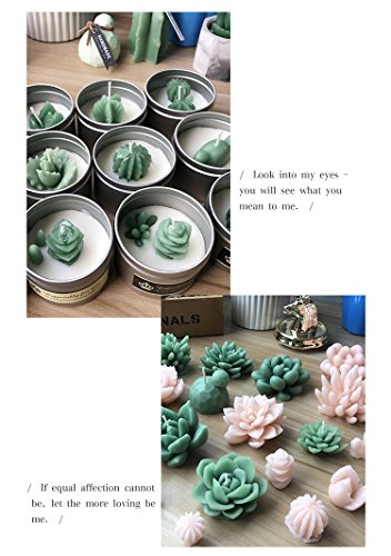 3D Silicone Succulent Cactus Candles Handmade Molds Fondant Mould Soap Mold for Valentine's day Birthday Party Wedding Spa Home Decoration - Thumbnail 4