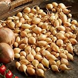 DUTCH BULBS EXCLUSIVE PLANTS FROM HOLLAND