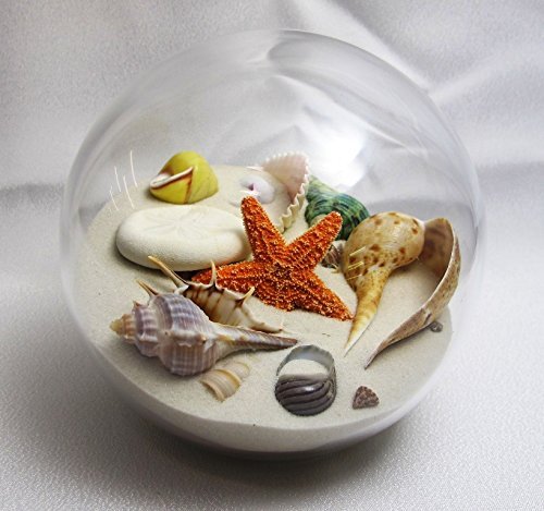 Dune Design Studios, Inc. Sand & Shell Sandglobe Paperweight 4-inch White Sand