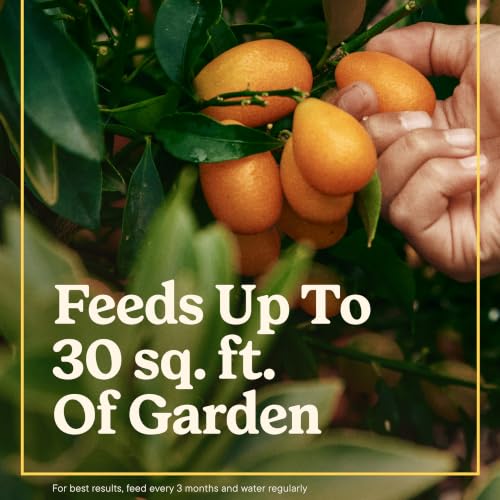 Miracle-Gro Shake 'N Feed Tomato, Fruit & Vegetable Plant Food, 1 lb. Detail