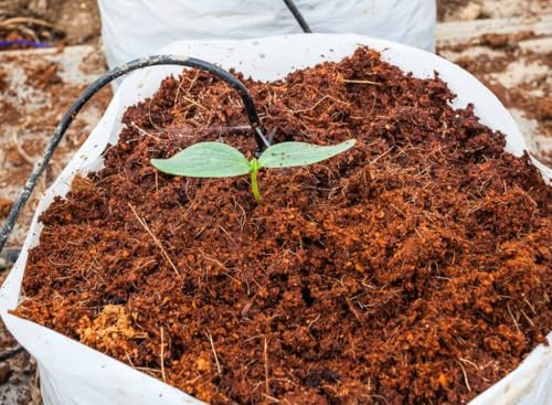 Image of 1 Kg Coir Pith Compost | Organic Coconut Coir Soil Conditioner for Plants
