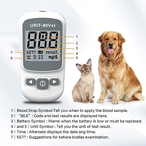Pet Blood Glucose Meter for Dog Cat with 50 Test Strips, Blood Suger Monitor Kit,Blood Glucose Monitoring System for Dog/Cat Diabetes.