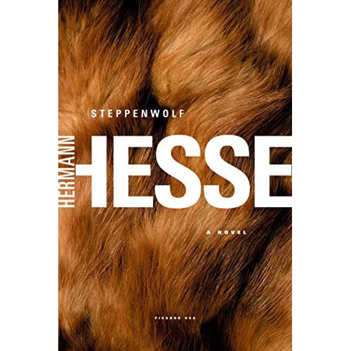 Steppenwolf: A Novel