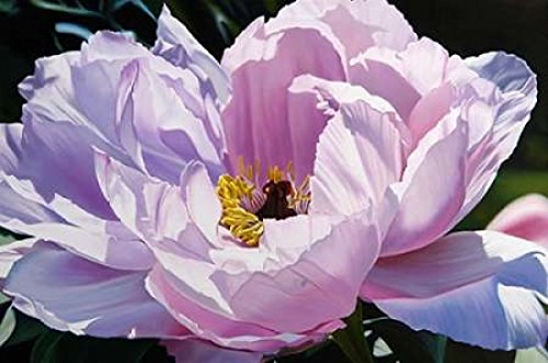 PosterazziThe Awakening Poster Print by Michael Schuh, (12 x 18)