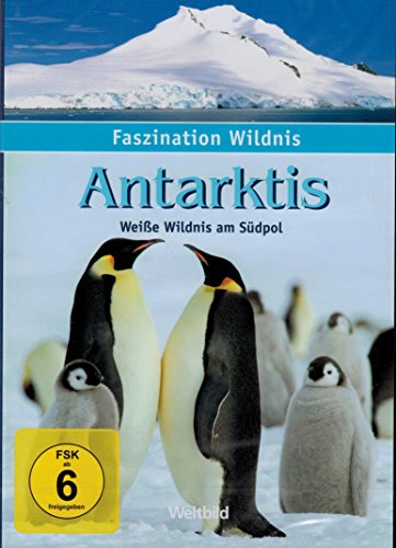 Preisvergleich Produktbild Faszination Wildnis - Antarktis - Weiße Wildnis am Südpol