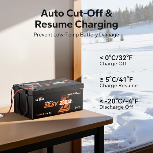 Image of LiTime 24V 230Ah Self Heating Lithium Battery with Bluetooth 5.0 for RV and Off-Grid-2 PACK