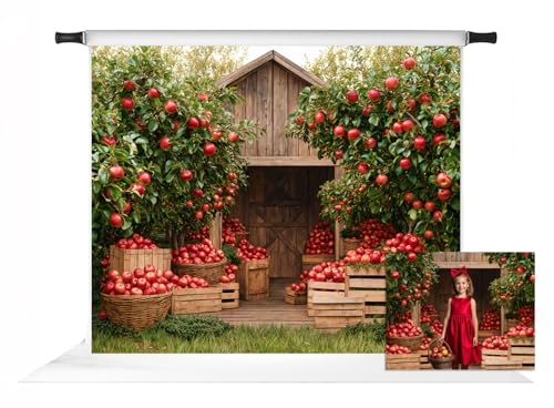 Toile de fond pommiers d'automne Kate 3x2,4m pour shooting photo et décor studio