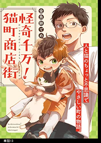 怪奇千万!猫町商店街【単話】(13) (FC Jam)
