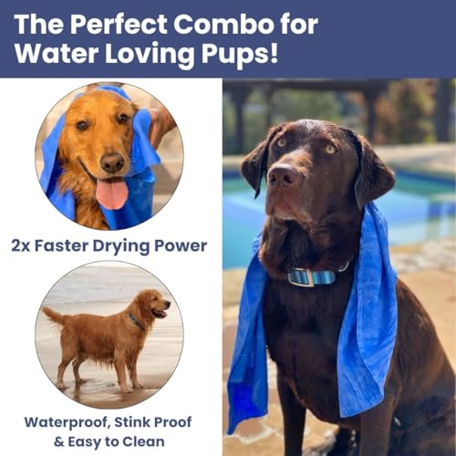 Image of Waterproof Dog Collar (Teal-L 1 inch) and Shammy (1-Pack) Set for Medium Large Dogs Easy Clean Odor Free Drying Gear