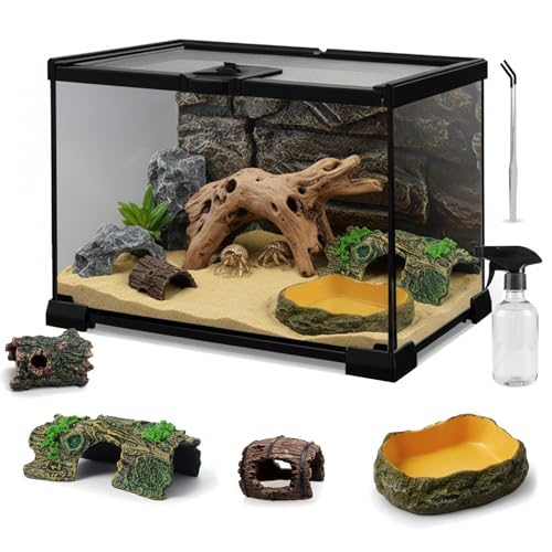 Vittqsuier 12'x8'x6' Mini Reptile Glass Terrarium Set (7 Pcs) Full View Hermit Crab Tank, Habitat...