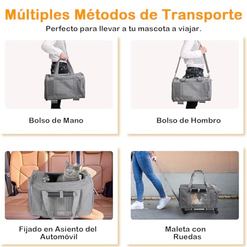 Opiniones y reviews de Maletas de transporte los más solicitados. 14 Imagen adicional