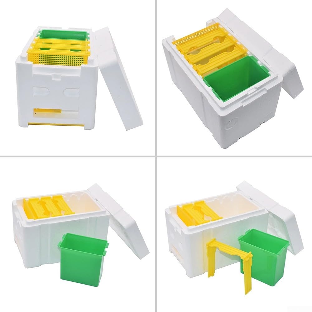 Boîte d'accouplement des abeilles, mini ruche, boîtes à abeilles avec distributeur d'eau, outil d'élevage et de récolte d'abeilles, maison naturelle