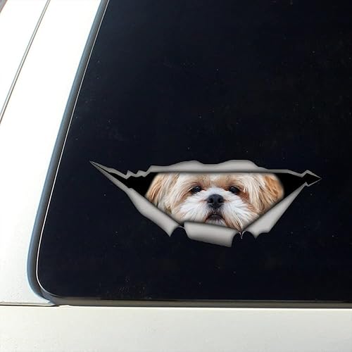 Miniatura 2 de Shih Tzu - Adhesivo para coche, diseño de perro
