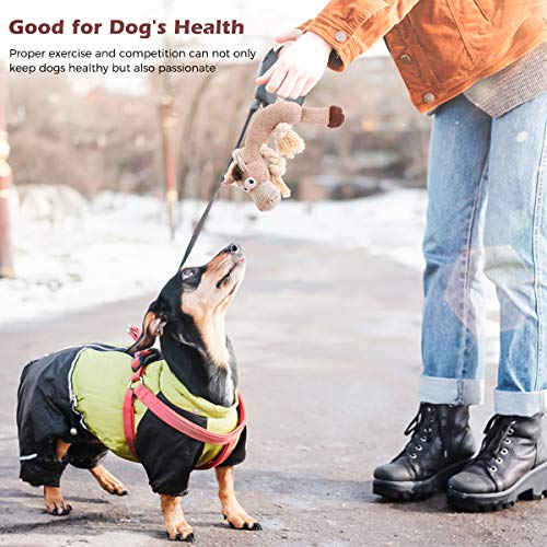 Squeaky Dog Toys Dog Chew Toy for Aggressive Chewers Dog Stuffed Animals Rope Chew Toy Dog Teethbrush Dental Chew Toy for Small Medium Large Doggy or Puppy Horse - Thumbnail 5