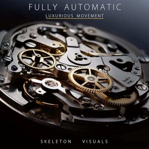 Image of ALIX AL2924 Automatic Mechanical Wrist Skeleton Stainless Steel Band Waterproof Luminous Analog Watches