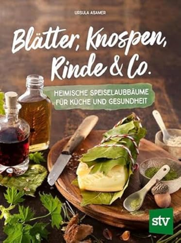 Blätter, Knospen, Rinde & Co.: Heimische Speiselaubbäume für Küche und Gesundheit