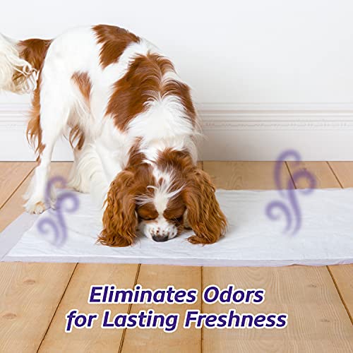 Hartz Home Protection Odor Eliminating Scented Dog Pads, Super Absorbent 