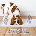 Home Protection Odor Eliminating Scented Dog Pads, Super Absorbent & Won’t Leak, Lavender Scent, Regular Size, 30 Count