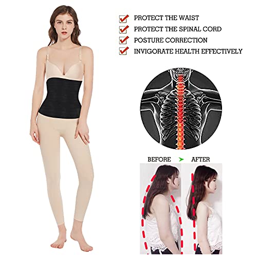 Waist Trainer For Women Plus Size, Snatch Bandage Wrap For Stomach Corset Postpartum,Back Support Belt For Women Lower Back Brace,Adjustable And Comfortable Backrest For Lower Back Pain Relief … #TOP2