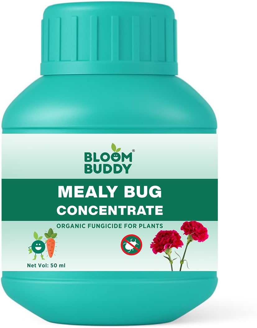 Mealy Bug Concentrate 50ml | Organic Fungicide | Water Soluble Neem Oil Spray for Plants | Mealybug & Insect Killer | Natural Pesticide for Home Garden Use