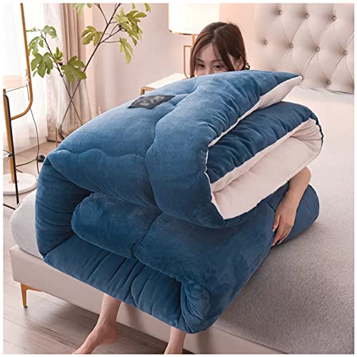 ZTGL Nórdico Edredón De Plumón Invierno, Borreguito + Terciopelo Grueso Y Denso, Núcleo Acolchado Cachemira Caliente, Súper Suave Lana De Lana Manta Color Sólido,B,180x220cm(3kg)