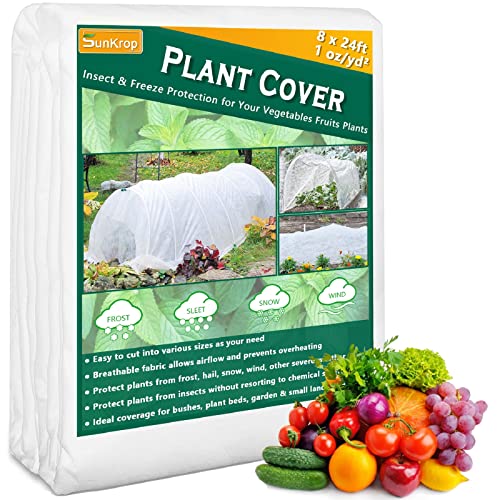 Find The Best Tarp For Sun Protection Reviews & Comparison Katynel