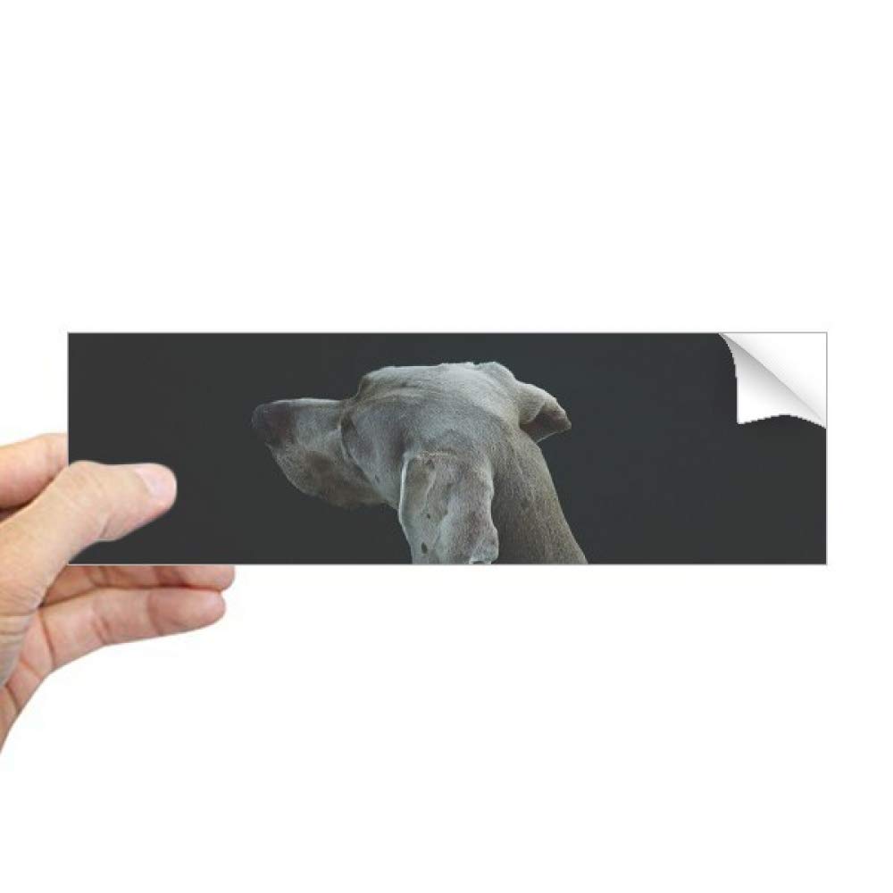 Autocollant pour fenêtre chien et sticker rectangulaire motif animal de compagnie DIYthinker