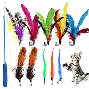 Qpets Cat Toys - Interactive 11 Piece Cat Toy Set with Retractable Teaser Wands and Feather Worm Toys - Kitten Toys Variety of Vibrant Colours - Activity Toys to Exercise Cats and Kittens