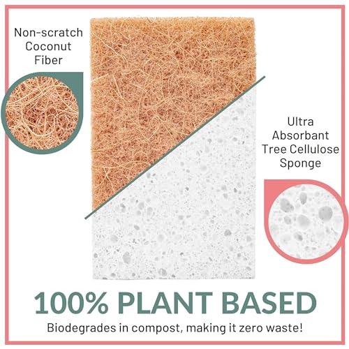 Image of bioGo White 12 Pack Biodegradable Kitchen Sponge - Eco-Friendly, Compostable, Natural Cellulose Dish - Compostable - Biodegradable - Cellulose Sponges Kitchen