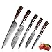 ZENG Couteau de Chef Couteau à Fileter Couteau Universel Couteau de Cuisine Tranchant en Acier Inoxydable Allemand Poignées Ergonomiques en Pakkawood pour la Maison et le Restaurant (5pcs)