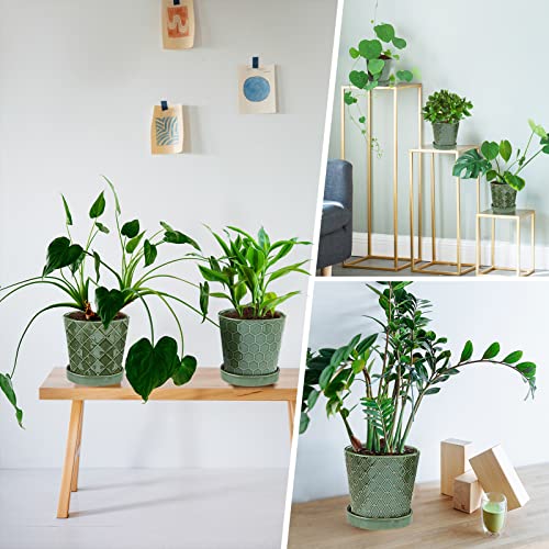 Image of EFISPSS Flower Planter -5 inch Ceramic Plant Pots with Drainage Hole and Ceramic Tray - Gardening Home Desktop Office Windowsill Decoration Gift Set of 4 - Plants NOT Included