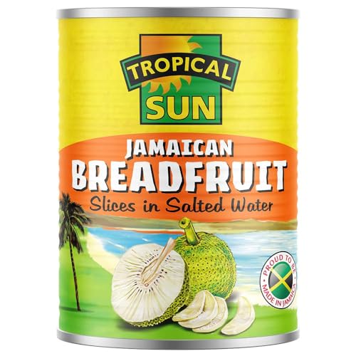 Tropical Sun Breadfruit 540g (Pack of 6)