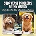 WAGSOLOGY Yeast Infection Treatment for Dogs Drops (7 in 1 Formula) Soothes Itchy & Irritated Skin, Improves Skin and Coat, Dog Yeast Infection Treatment & Anti Yeast Drops for Dogs