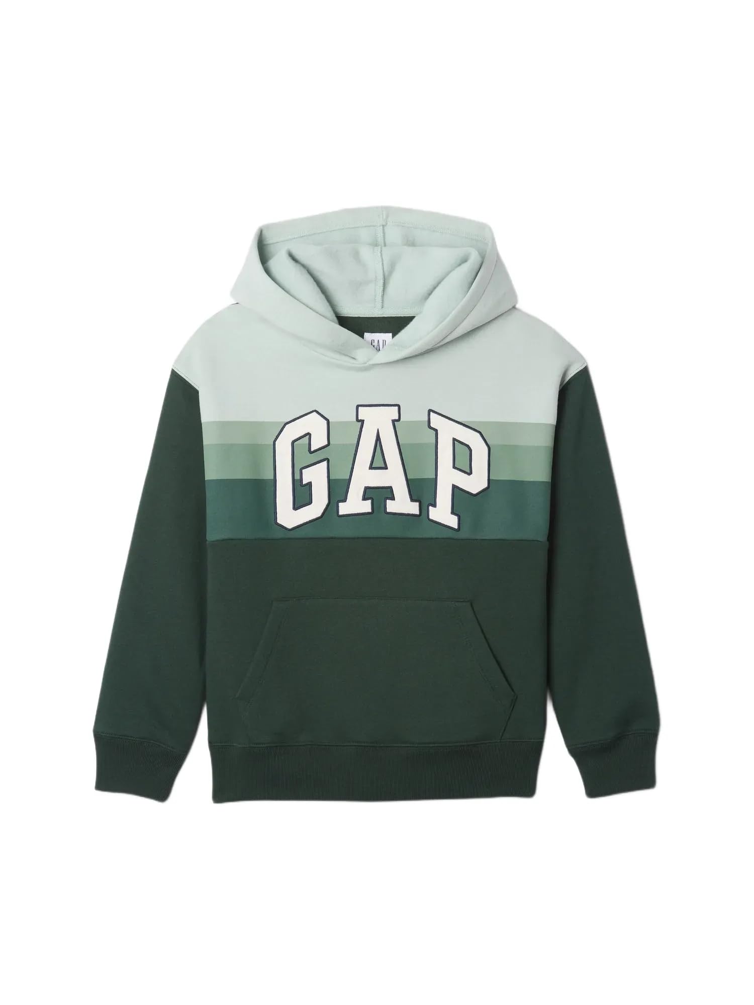 GAP Boys' Logo Pullover Hoodie