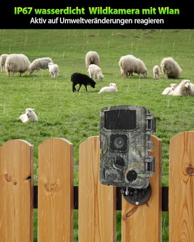 KJK Wildkamera mit Handyübertragung APP, 4K 64MP HD WLAN Bluetooth mit 64GB Speicherkarte,...