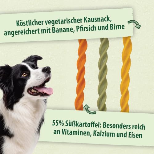 duvoplus Fruchtige Hundeleckerli Fruity Dental Swirls Größe S – Ansicht 6